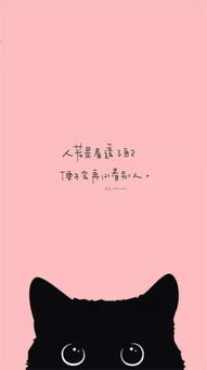 情感复合挽回的信,复合成功的真挚挽回信