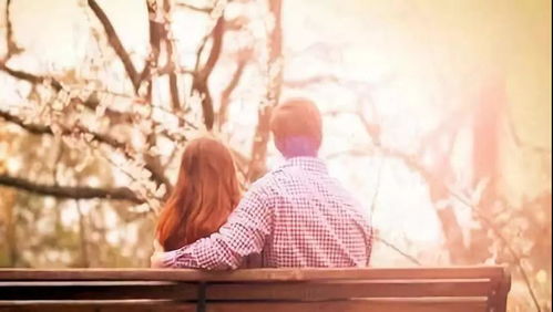 石家庄专注情感挽回,石家庄情感挽回专家，为您解决感情困扰