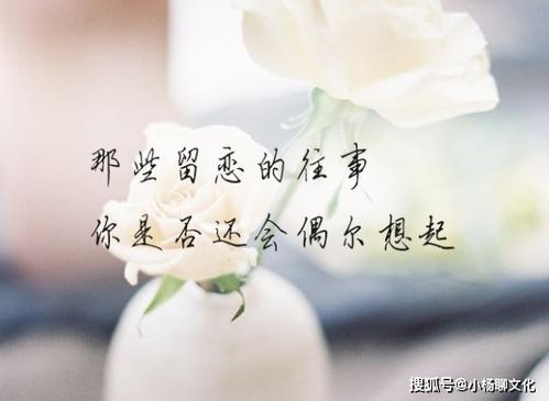 挽回老婆适合说的话,挽回老婆的话术攻略