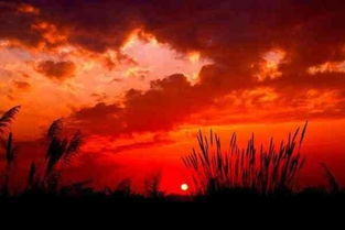 美好的时光挽回不了,重拾失落的珍惜)