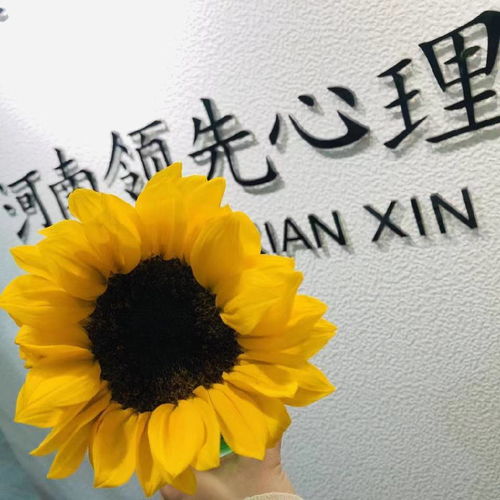 爱情挽回咨询的公司,恋爱问题咨询公司