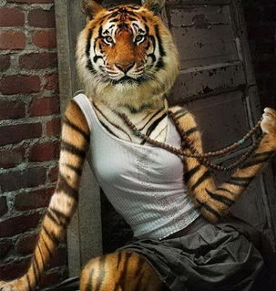 怎样挽回属虎女人，如何让属虎女性心甘情愿回到你身边？