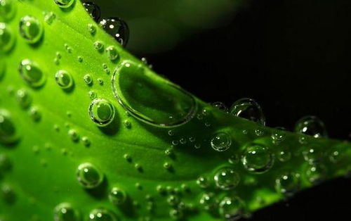 把老公淡忘了怎么挽回，忘记了老公，如何重建爱情？