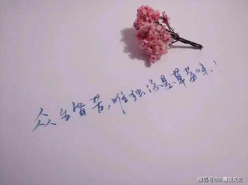 卑微挽回不了爱情的诗句，爱情难回头，卑微也会走向辉煌