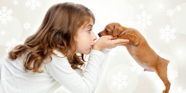 北京婚姻挽回机构地址,北京哪家婚姻挽回机构比较好？