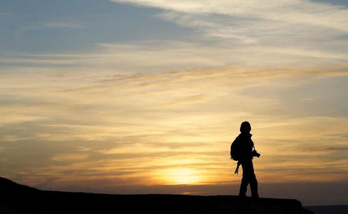 男生放弃追求女生挽回,男生试图挽回女生的心