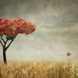 平安夜挽回句子,挽回平安夜，改变命运