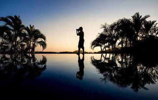 情感挽回市场前景,情感挽回市场前景广阔