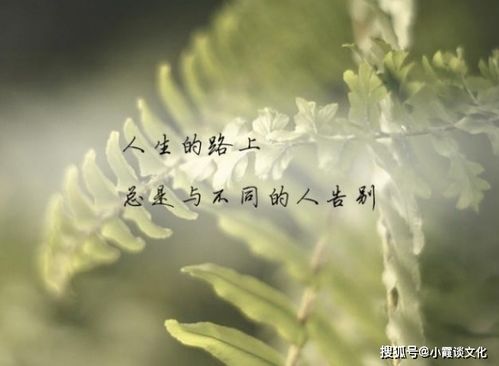 形容没有挽回的余地,已无可挽回