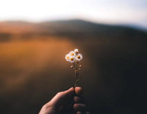 对女朋友挽回吗,如何挽回女友的心