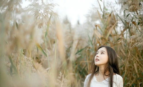 挽回惊世才女的诗句,唤醒沉睡的女神