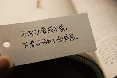 适合挽回感情的句子,挽回爱情的有效句子改写成新标题