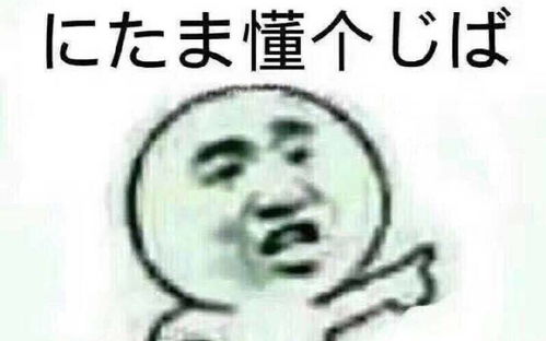 挽回前任表情包原图,挽回前任，神功在手！)