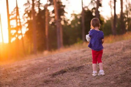 如何挽回回避依恋,挽回回避依恋技巧