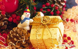 挽回女友的话什么礼物,挽回女友圣诞礼物推荐