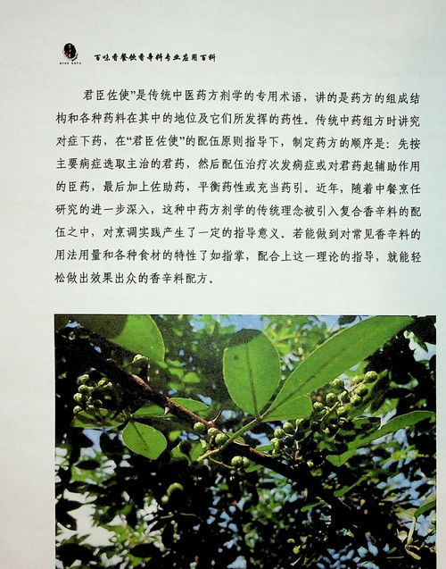 断桥理论挽回大师课,断桥理论：成功挽回的秘诀