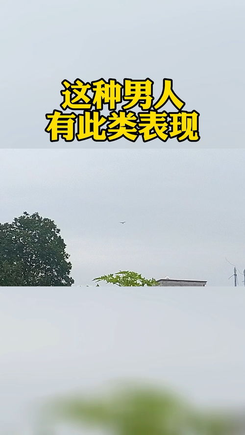 成都靠谱情感挽回,成都可信赖情感复合