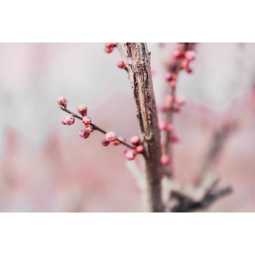 没希望挽回的爱情,无法挽回的爱情