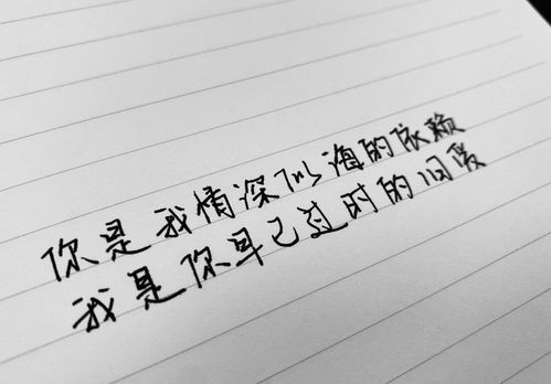 放弃就别挽回歌词,不要试图挽回已放弃的爱情