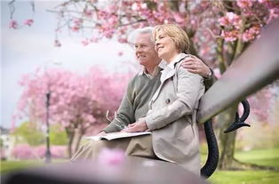 悲伤挽回家庭歌曲，重拾幸福：家庭和谐歌曲