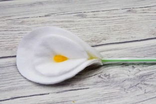 餐具忘放怎么挽回,餐具遗落怎么补救