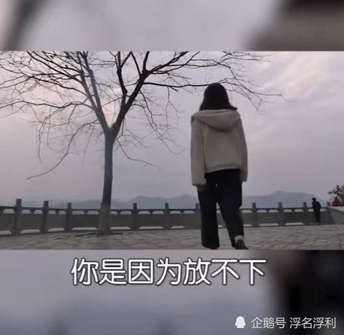 教你如何才能挽回感情,挽回感情，大功率招数