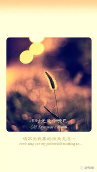 如果时光可以挽回下载,时光倒流，挽回过去