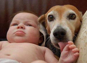 挽回舔狗型男友,如何让舔狗男友回心转意