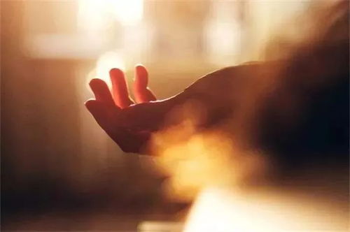 珍惜眼前人无法挽回，珍爱周围存在的人，别等悔后难追