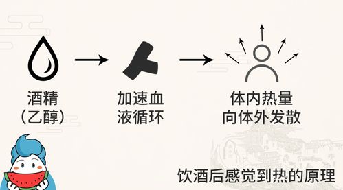 戒酒怎么挽回身体,戒酒后如何恢复健康