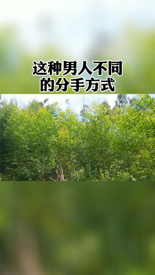 分手多久才能去挽回,恢复感情最佳时间？