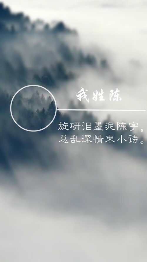 挽回很爱的人的诗句,挽回爱情之深情诗句