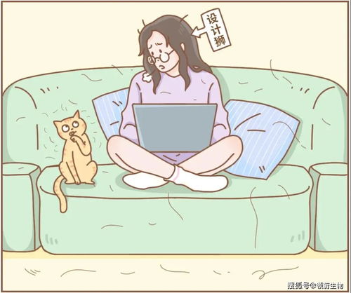 考研脱发可以挽回吗,考研生脱发还有救吗