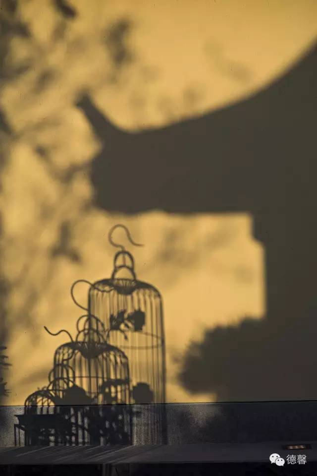 劝君免挽回的意思,别再回头，放手一搏