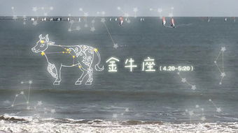 金牛决定放弃怎么挽回,金牛座放弃：如何重新开始？