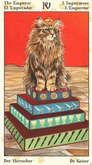 塔罗占卜如何挽回,塔罗牌占卜：如何挽回前任)