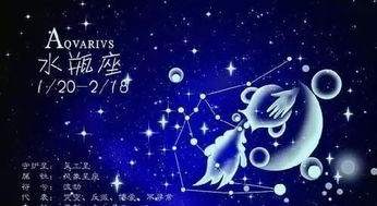 月亮双鱼女怎么挽回,如何挽回双鱼女的心？