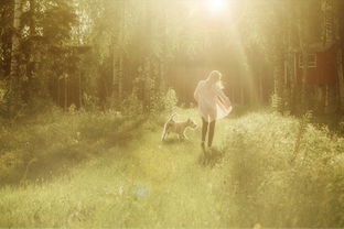 白羊不爱的时候怎么挽回，复苏白羊心：当TA失去爱时该如何做？