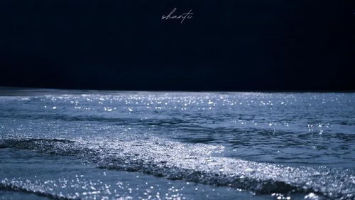 挽回最佳的古诗句,漏网捕鱼