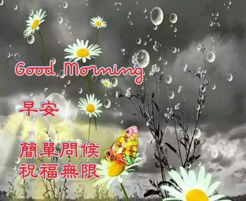 挽回朋友的中秋文案,珍爱友情，共度欢乐——中秋节挽回友谊文案重写为重温友谊，共话团圆——中秋挽回友情。