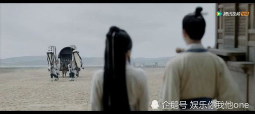 女主失忆男子挽回,失忆女主