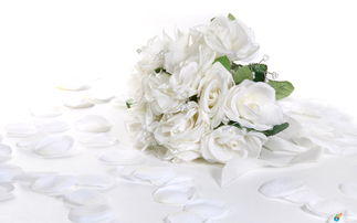 挽回男友花束教程玫瑰,如何挽回男友：送出最吸引人的花束