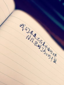 旧爱挽回的句子,挽回旧爱的10句话