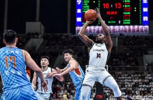 辽篮怎么挽回失误,如何弥补辽篮的失误？