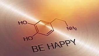 那些挽回专家的方案,挽回爱情：专家实用方法