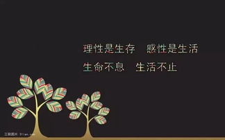 分手后挽回表白句子,分手后如何挽回TA，10句表白用心挽回