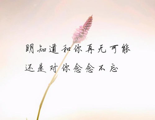 怎么挽回背叛婚姻的话,挽救背叛婚姻的方法