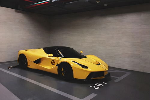 海龙开豪车挽回,豪车挽回海龙失宠