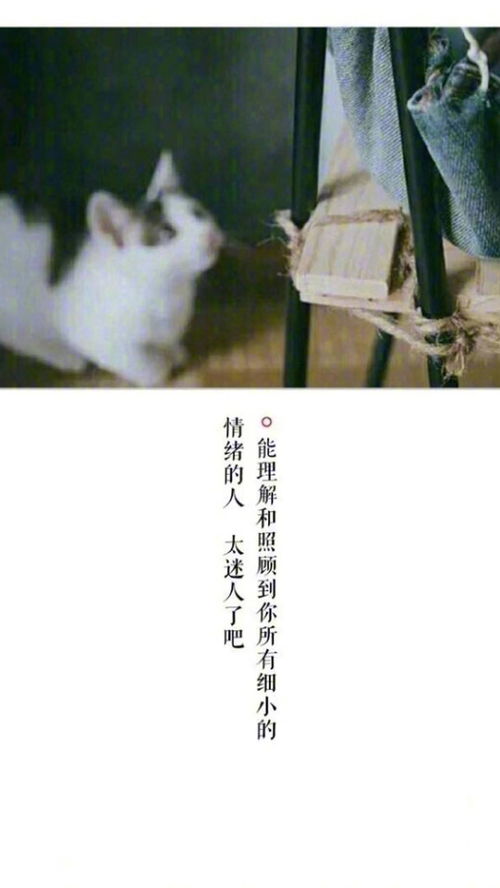 难以挽回的感情说说,背离爱情的悲剧