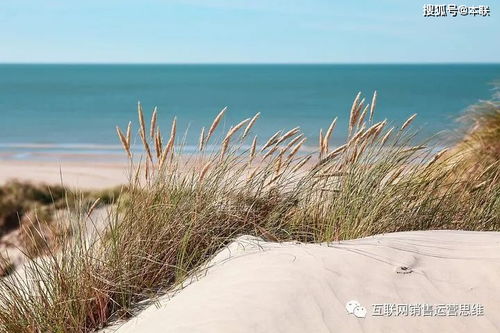 挽留跟挽回的区别,挽回和挽留的不同之处